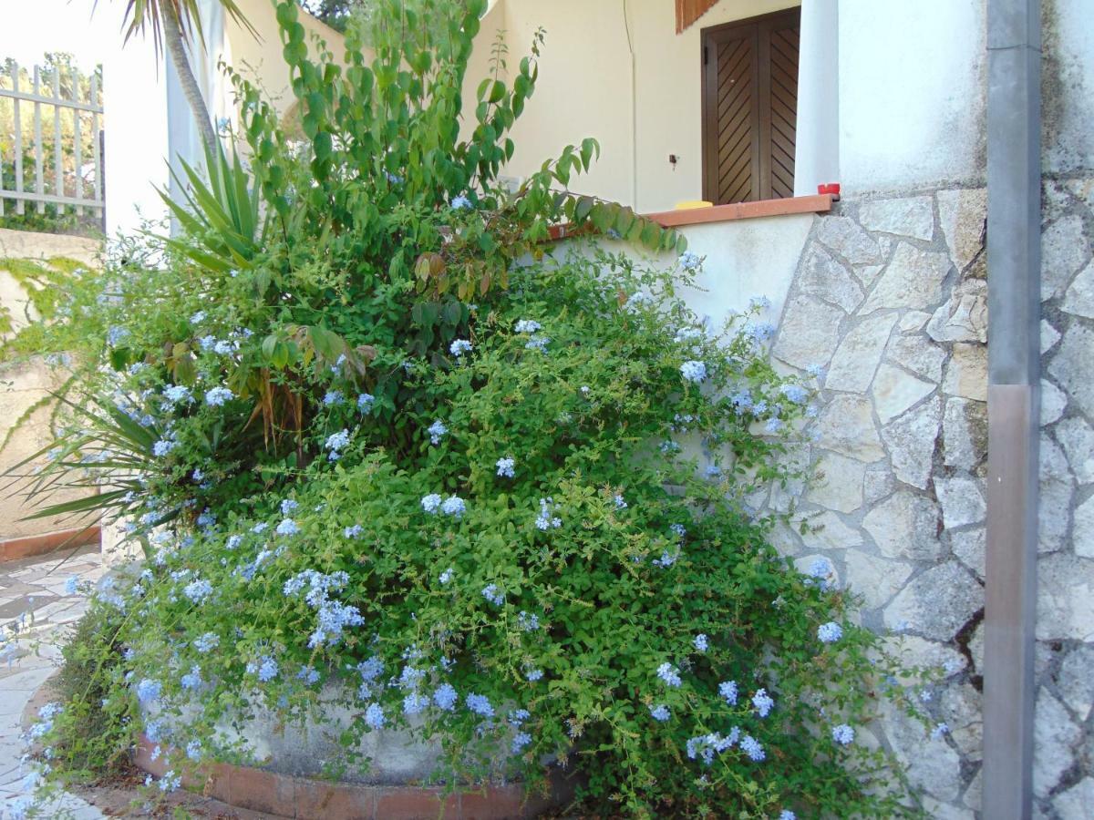 Villa Antonio Calderisi Βιέστε Εξωτερικό φωτογραφία