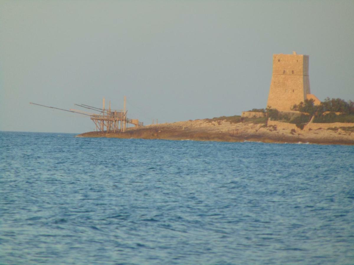 Villa Antonio Calderisi Βιέστε Εξωτερικό φωτογραφία